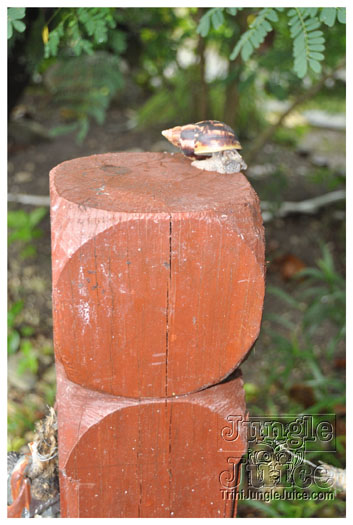 crack_of_dawn_jul31_2010-024