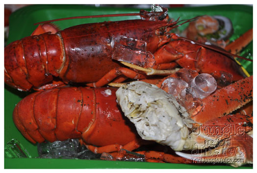 cribs_solid_gold_jun20-041