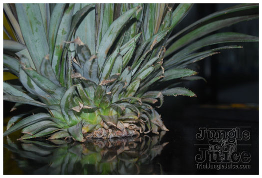 cruz_cocktail_aug1-022