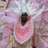 dc_carnival_2010_pt2-080