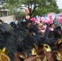 dc_carnival_2010_pt3-071