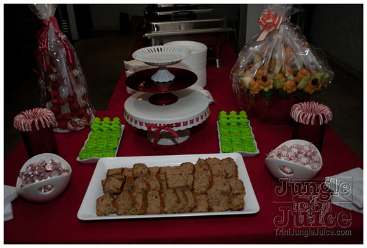 dear_santa_2010_dec25-057