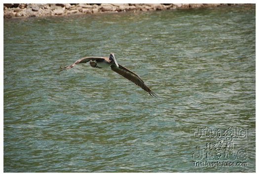 dragon_boat_regatta_mar29-077