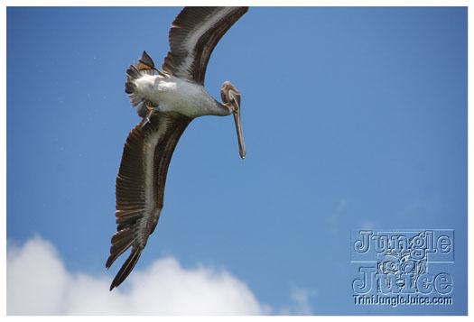 dragon_boat_regatta_mar29-079