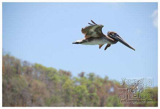 dragon_boat_regatta_mar29-081