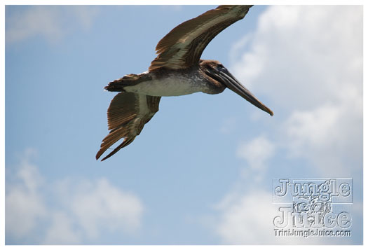 dragon_boat_regatta_mar29-082