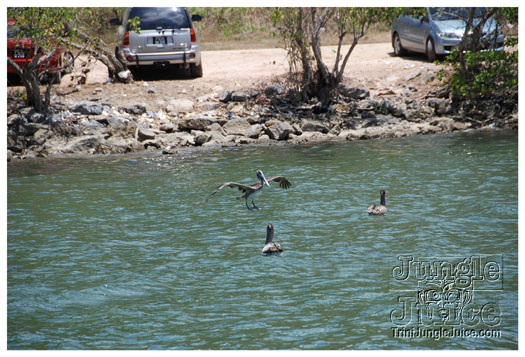 dragon_boat_regatta_mar29-083