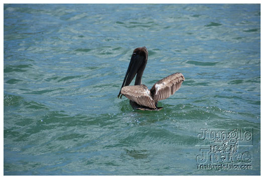 dragon_boat_regatta_mar29-084