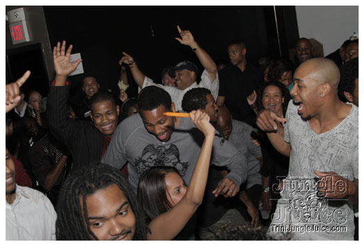 fire_flies_ibiza_apr9-048