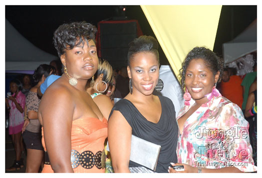 flight_cruise_july2010-012