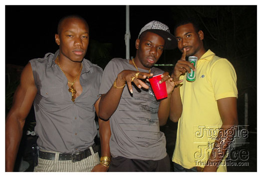 flight_cruise_july2010-022