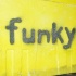 funky_monkey_aug6-048