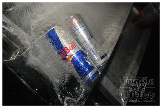 funky_monkey_dec17-041