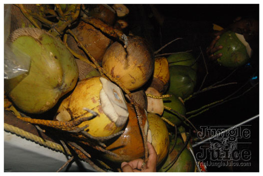 funky_monkey_dec17-084