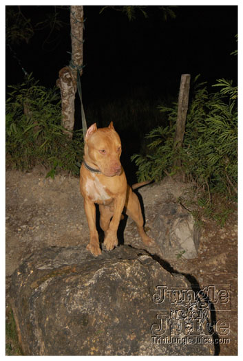 funky_monkey_dec17-129