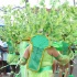 grenada_carnival_mon_aug9_2010-058