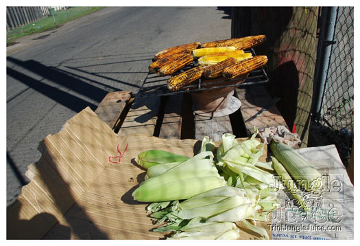grenada_carnival_tues_aug10_pt1-049
