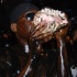 grenada_jouvert_2010-039