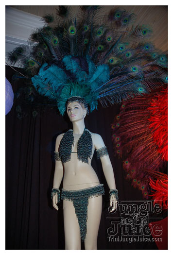 harts_band_launch_2011-007