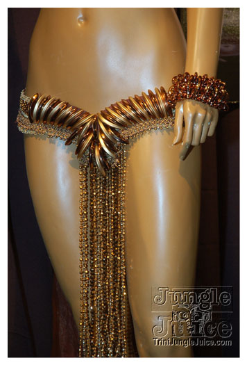 harts_band_launch_2011-018