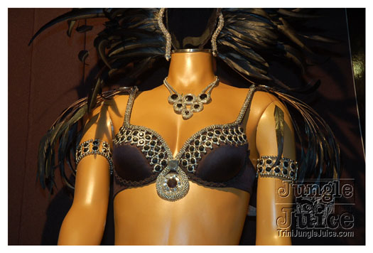 harts_band_launch_2011-027