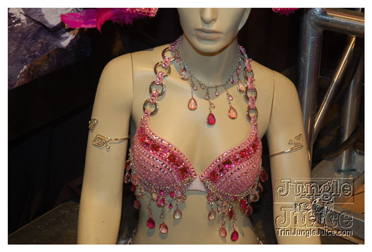 harts_band_launch_2011-029