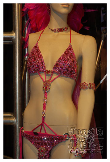 harts_band_launch_2011-030