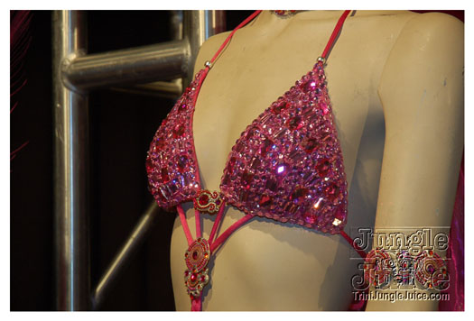 harts_band_launch_2011-031