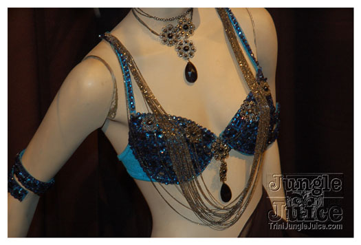 harts_band_launch_2011-032