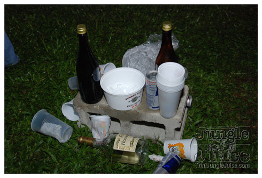 house_party_2010_sep4-066