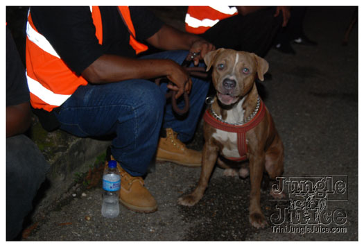 house_party_2010_sep4-073