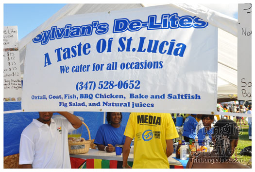 houston_parade_jul4_2010_pt1-083