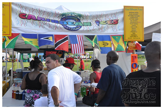 houston_parade_jul4_2010_pt1-091