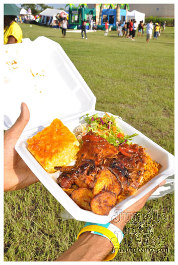 houston_parade_jul4_2010_pt1-097