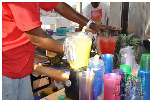 houston_parade_jul4_2010_pt1-113