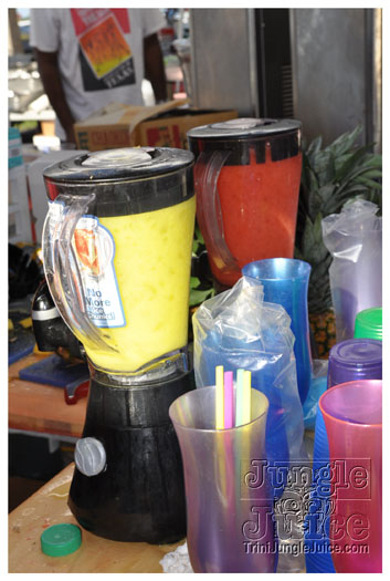 houston_parade_jul4_2010_pt1-114