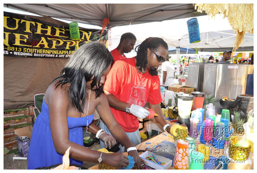 houston_parade_jul4_2010_pt1-115
