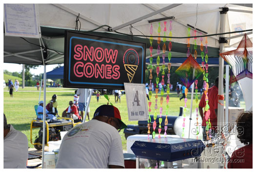 houston_parade_jul4_2010_pt1-118