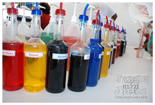 houston_parade_jul4_2010_pt2-050