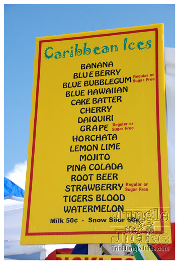 houston_parade_jul4_2010_pt2-051