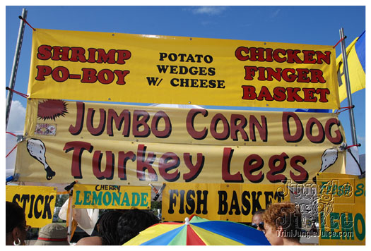 houston_parade_jul4_2010_pt2-052