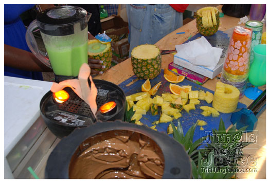 houston_parade_jul4_2010_pt2-081