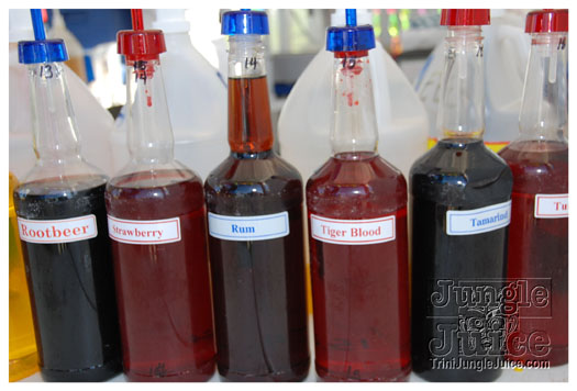 houston_parade_jul4_2010_pt2-087