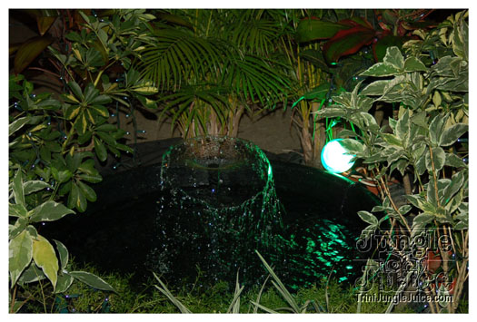 i_am_legend_3_apr3-004