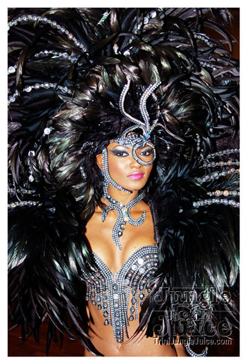 islandpeople_band_launch_2011-124