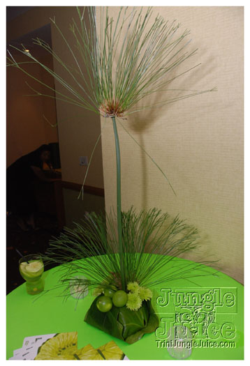 lime_media_launch_dec9-002