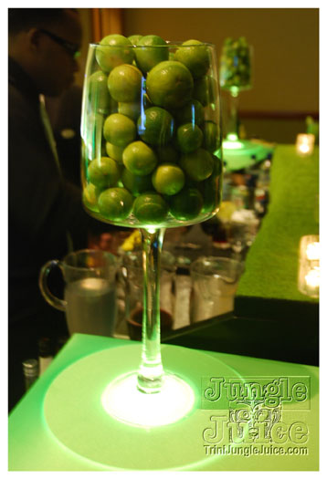 lime_media_launch_dec9-011