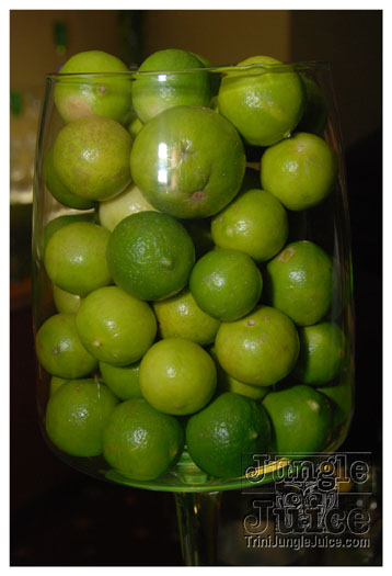 lime_media_launch_dec9-023