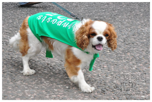 luton_carnival_2010-135
