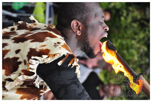 luton_carnival_2010-147